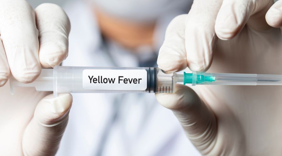 Vacina de Febre Amarela. Mãos de um enfermeiro segurando uma vacina que está escrito Yellow Fever