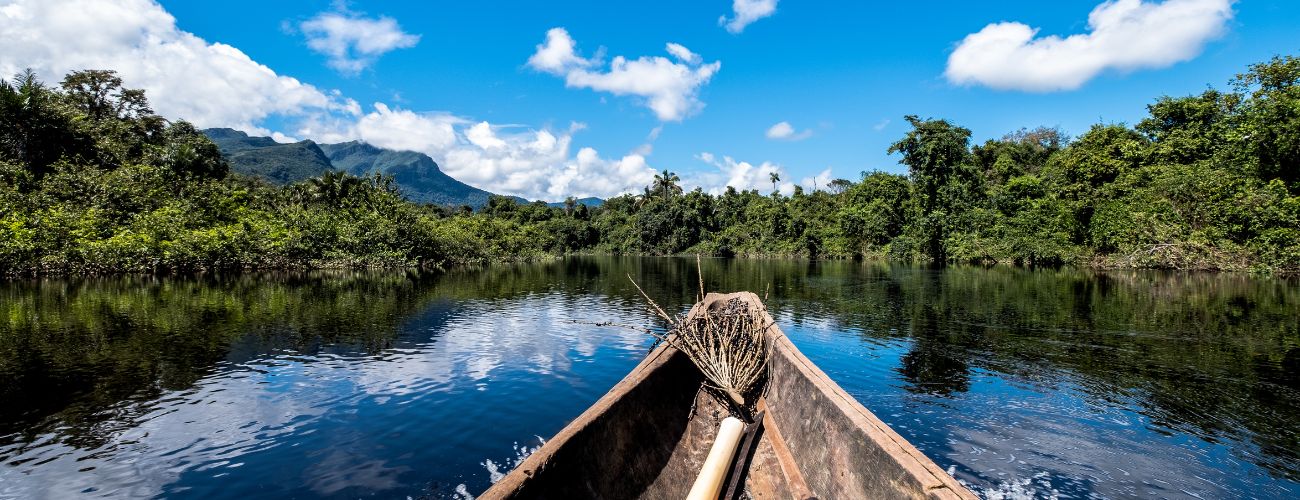 Vivalá na Amazônia no Brasil