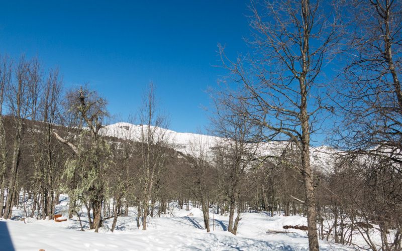 Chillan, ideal para ver a neve em um lugar menos turísticos