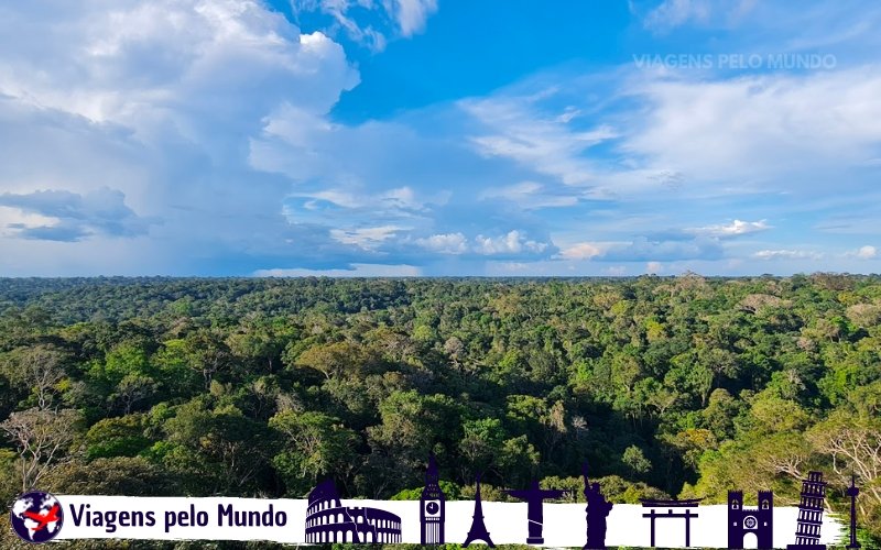 Floresta Amazônia vista do Museu da Amazônia