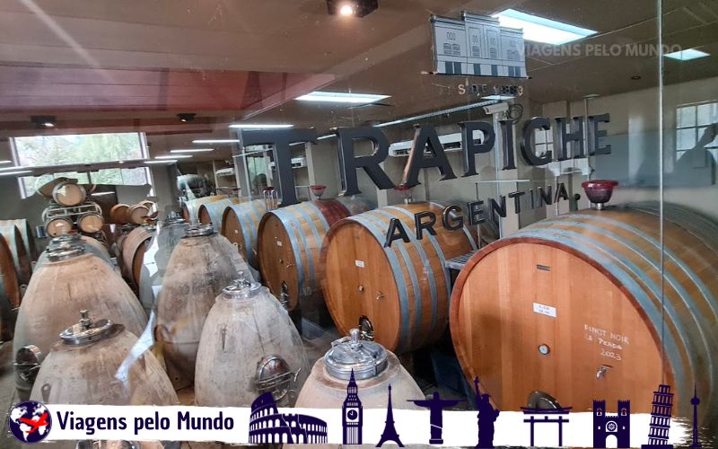 Barris de armazenamento dos vinhos da Bodega Trapiche