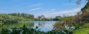 Passeios gratuitos em SP: Vista da lagoa do Ibirapuera na cidade de São Paulo
