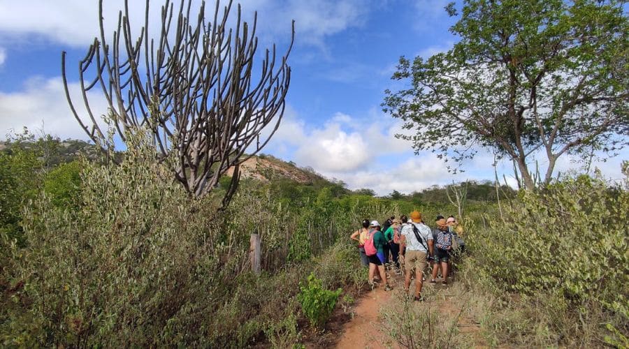 Passeio pela caatinga paraibana: turistas caminhando pela trilha com o guia