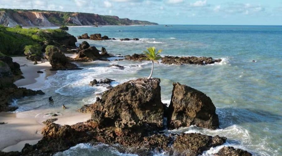 Praia do coqueirinho: Praia vista do alto e duas pedras, em cima dela um coqueiro