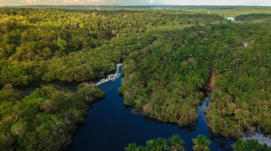 Amazônia Peruana com vista para o Rio Amazonas