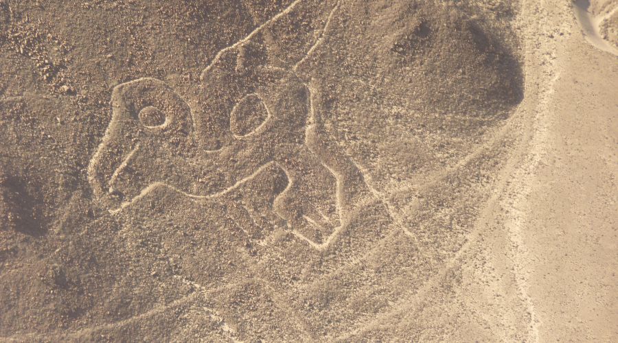 Vista do alto de uma das linhas de Nazca em formato de um bicho.