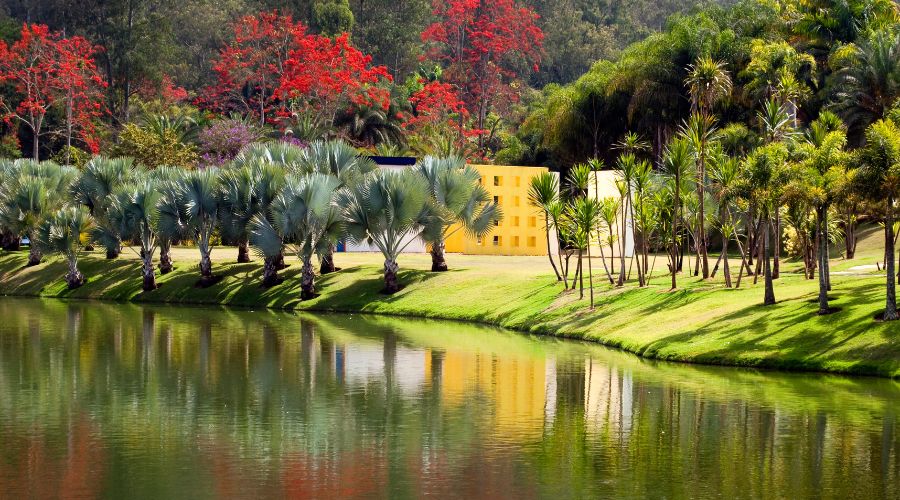 Inhotim em Brumadinho