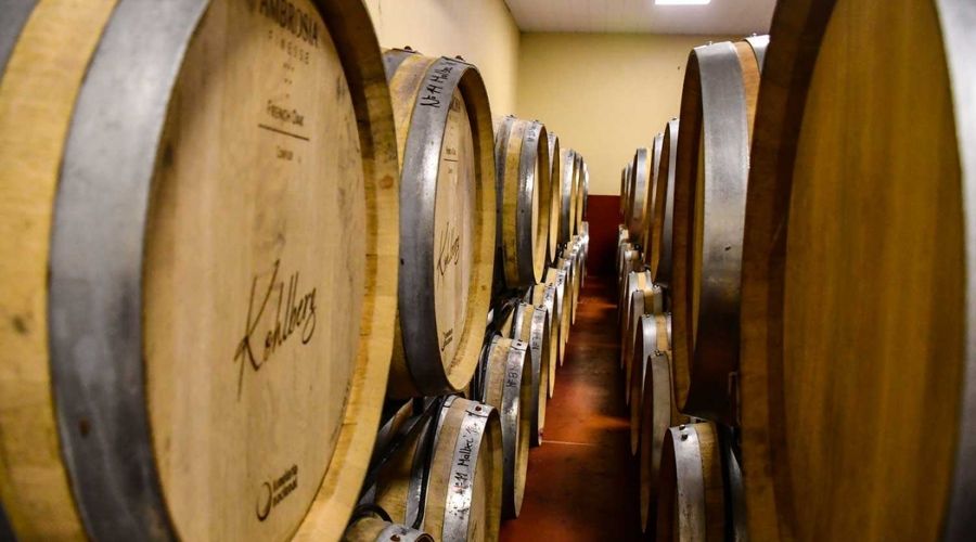 Barris envelhecendo vinhos na vinícola Kohlberg