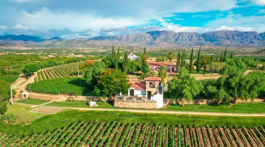Imagem do alto da Bodega Aranjuez em Tarija