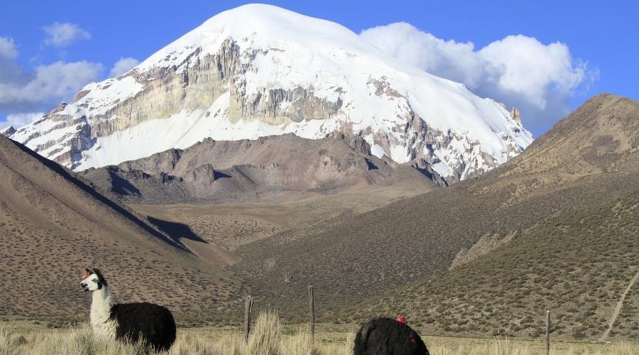 Sajama Parque Nacional Bolívia